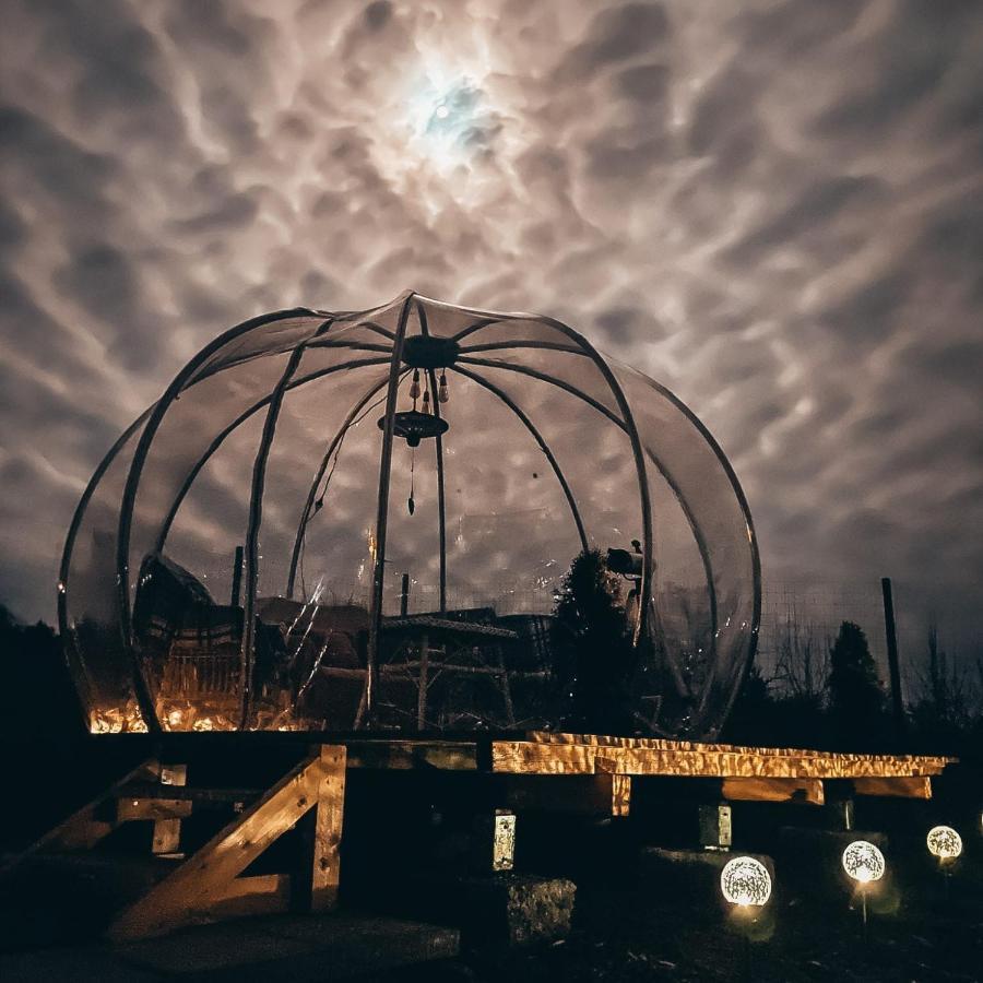 The Wooden Nest -Covasna 빌라 외부 사진