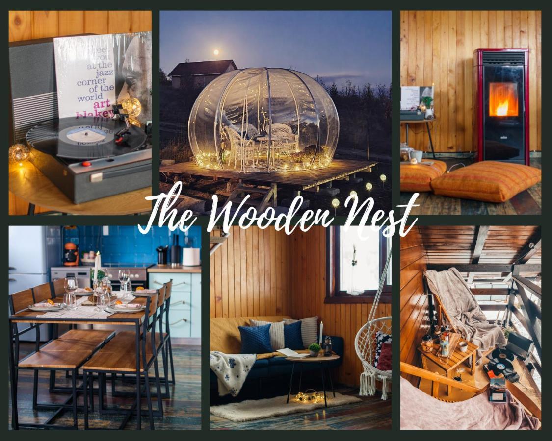 The Wooden Nest -Covasna 빌라 외부 사진